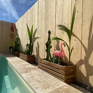  Hébergement de vacances Mas Des Oliviers, Maison Avec Piscine Privative Et Chauffee Locamargue France
